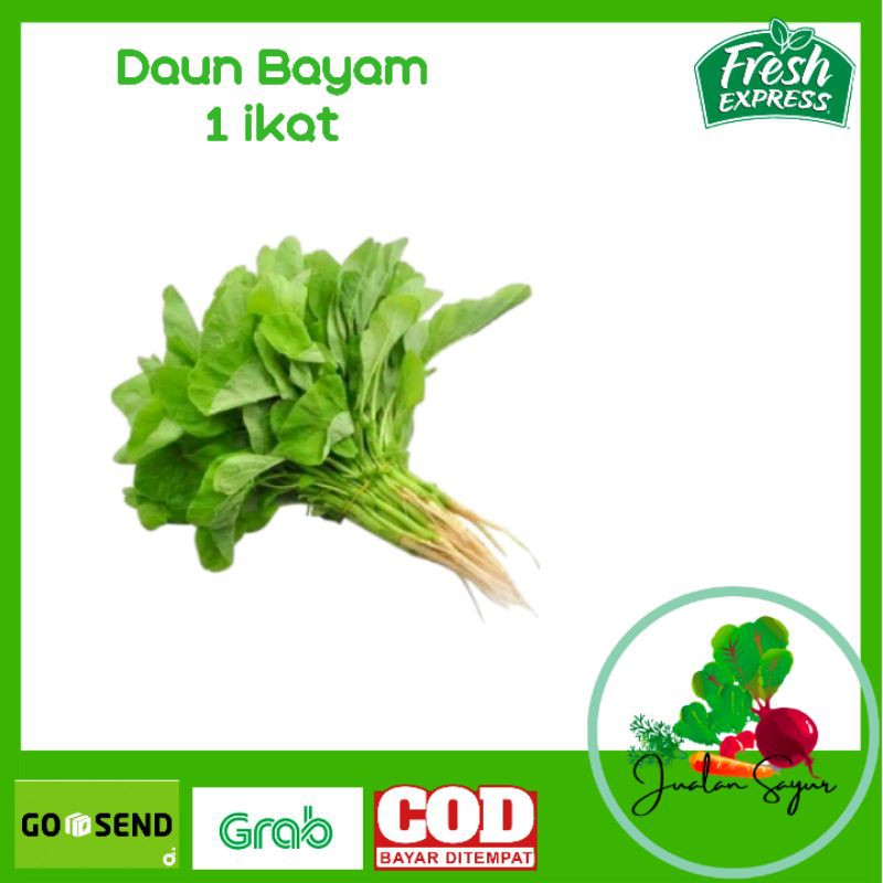 

Bayam Hijau Fresh Sayur Sayuran Segar Pasar Murah