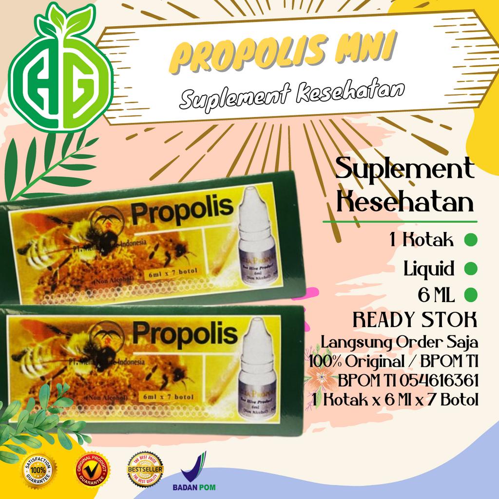 Propolis MNI (Propolis Melia Nature Indonesia) Propolis Hijau | 1 Box
