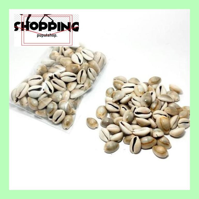 

Skgtras Kerang Biji Congklak Isi 105 Biji Trad40S