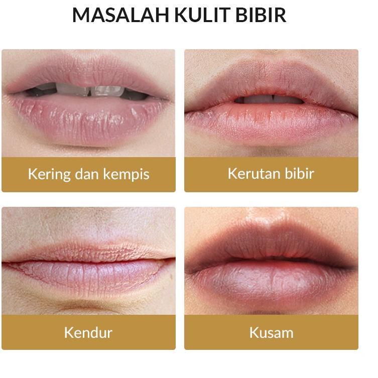 Import ✨Terbaik✨ 【BPOM】 Feiyue BUHOTEI Day & Night Lip Serum Set  Pinkish Lip Serum I Lip Balm I Ser
