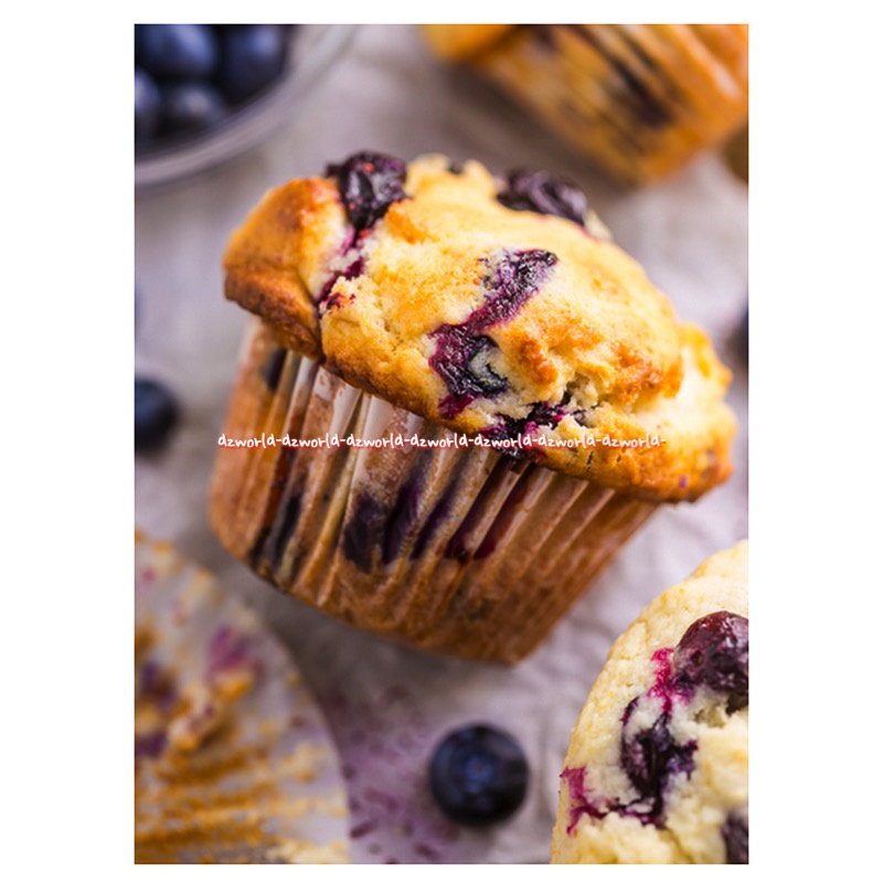 Kent Boringer 345gr Muffin Mix Blueberry Fruit Puch Extra Chocolate Tepung Premix Kue Ultah Membuat Kue Mufin Rasa Berri Coklat Buah Kentboringer