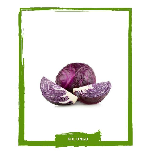 

Kol Ungu / Kubis Ungu / Sayur Sayuran Segar By Mallahrizwa