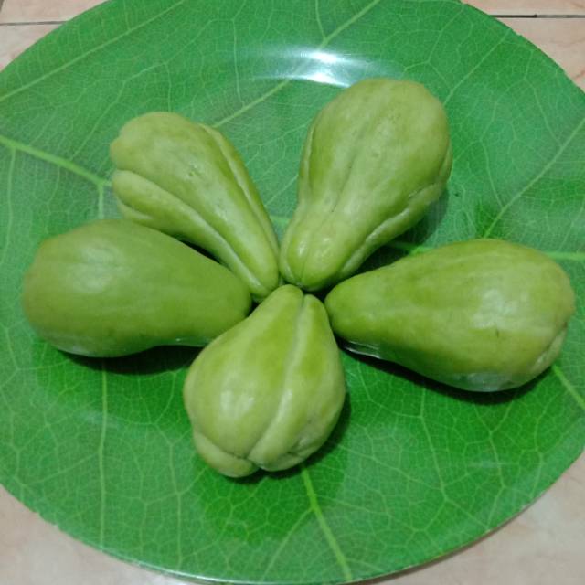 

Labu siam kecil sayur bandung