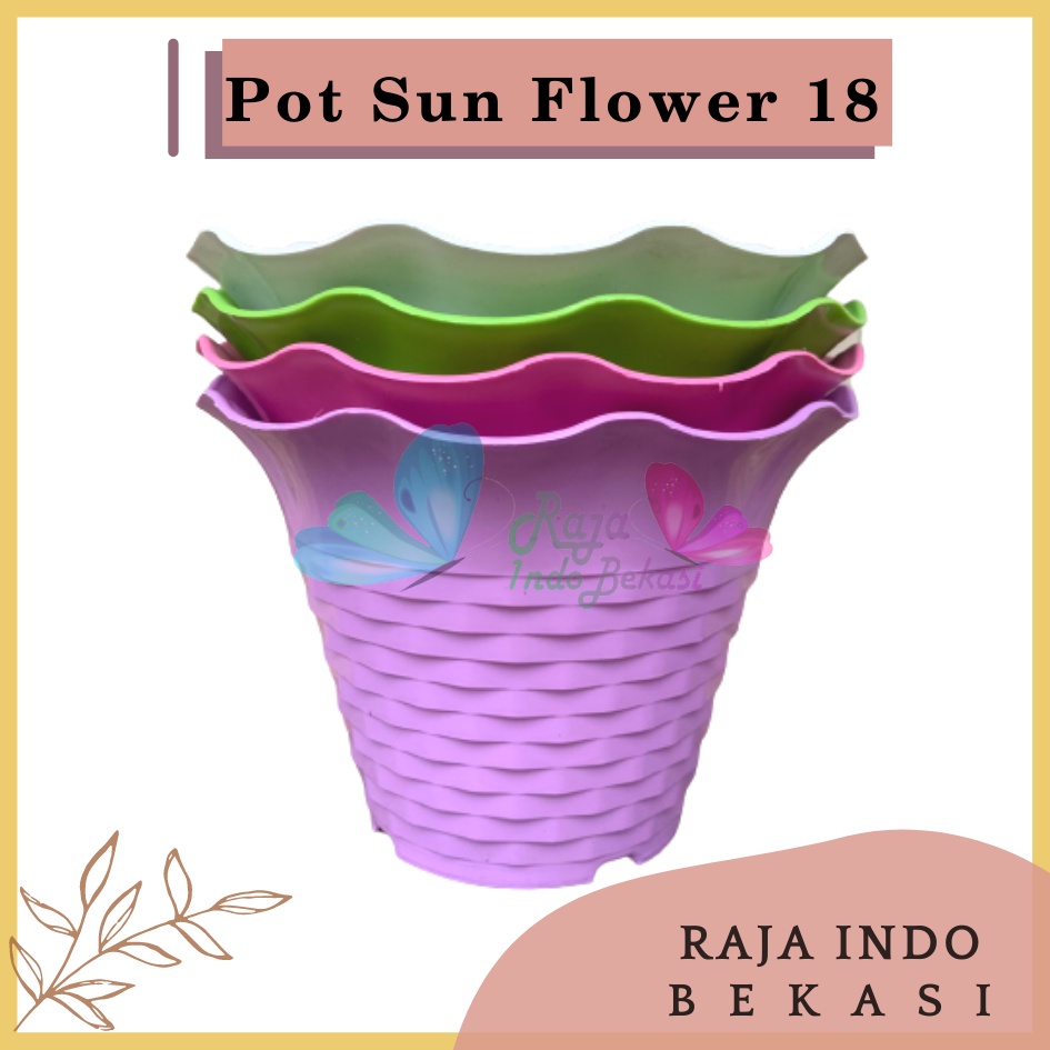 Pot Bunga Sun Flower MDN 18 Warna pot bunga cantik murah bagus ukuran 18 bukan tawon Pot Bunga Plastik Besar Gantung Hias Panjang Kecil Putih - Pot bunga SUN FLOWER MDN 10cm WARNA WARNI Pot Kecil Mini Pot Kaktus