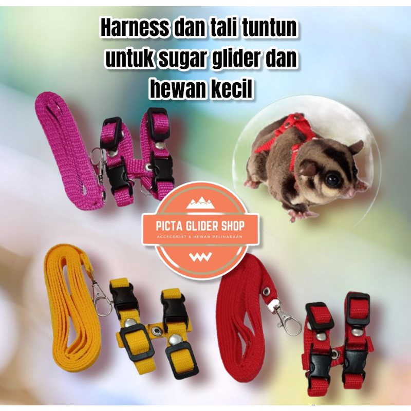 harness hernes tali tuntun untuk sugar glider tupai iguana biawak dan hewan kecil lainnya