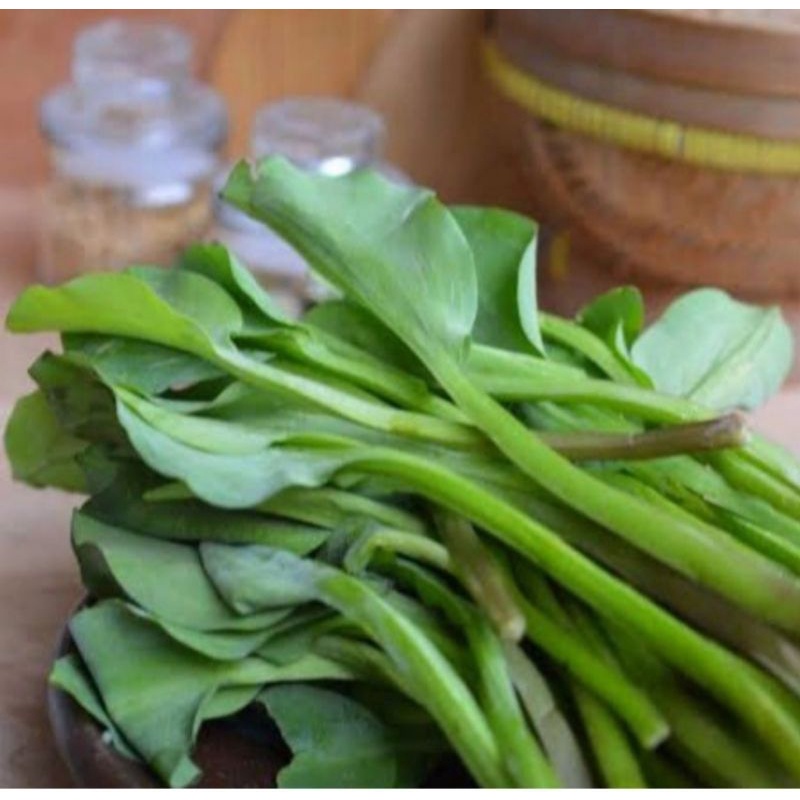

Sayur genjer - sayur gendot sayur orang kampung untuk 1 ikat