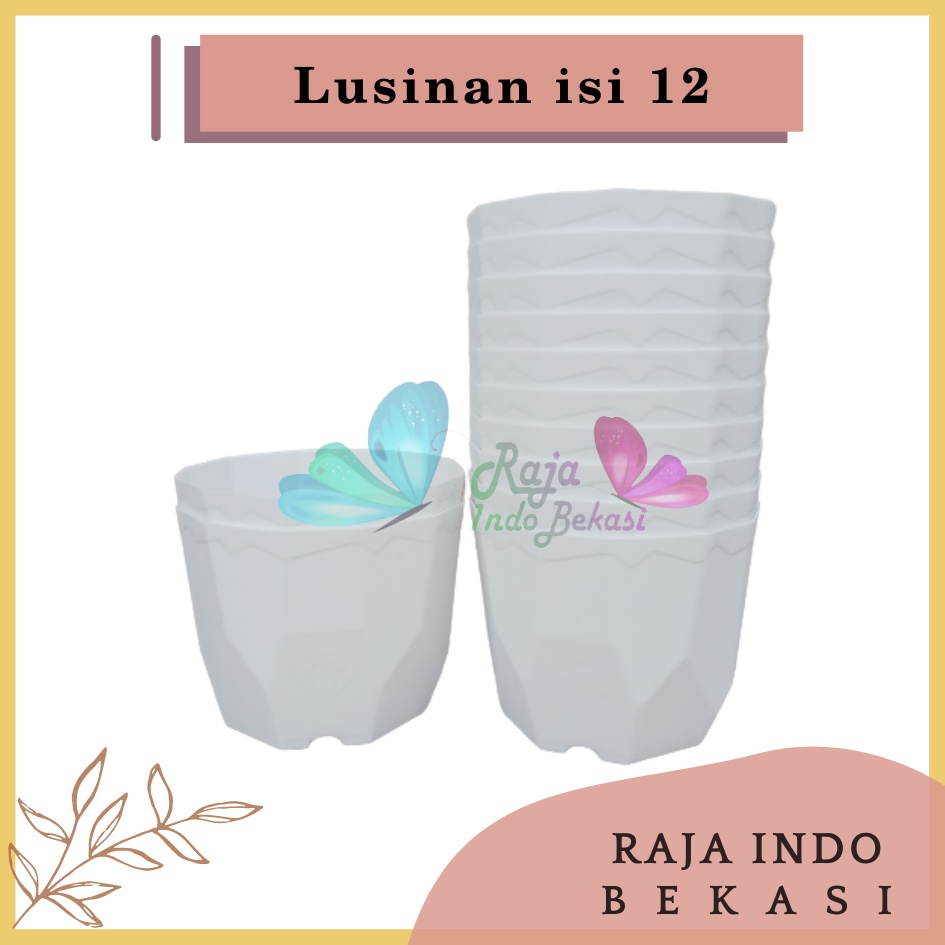 Lusinan Isi 12 Pcs Pot Permata 12 Putih Diameter 10,5cm Pot Kaktus Mini Lucu Murah Bkn Pot Tawon 10 12