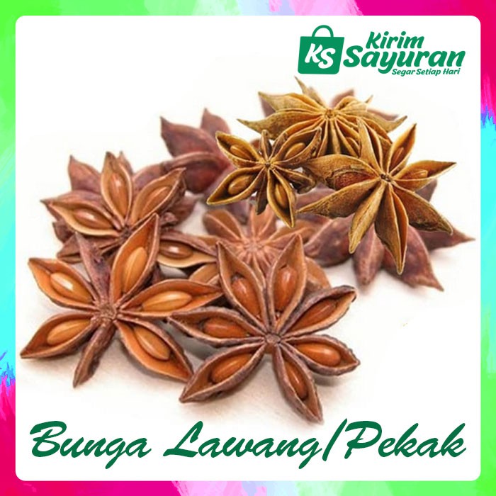 

BUNGA LAWANG / PEKAK / STAR ANISE / PACK 25 GR