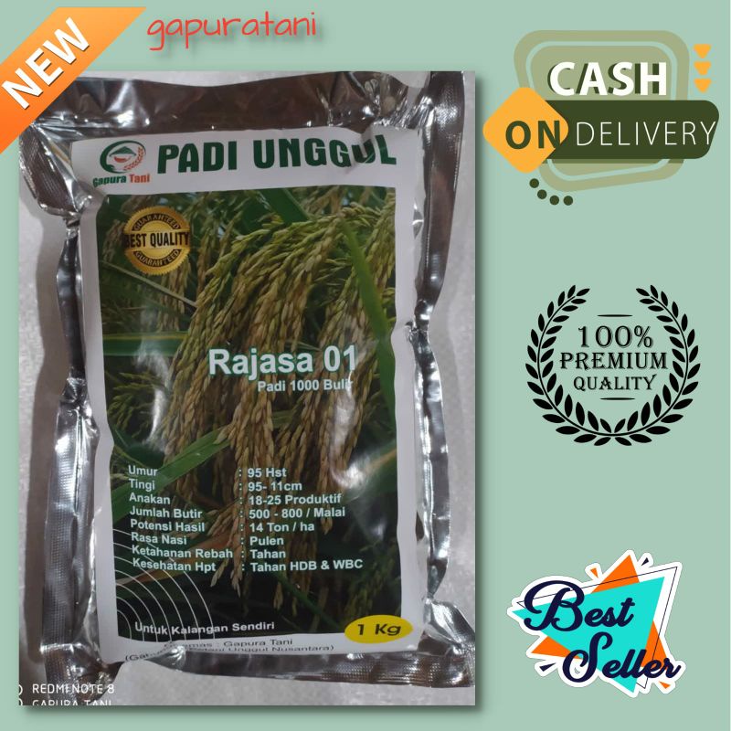 benih padi aceh RAJASA 01 SERIBU BULIR kemasan 1 kg PREMIUM