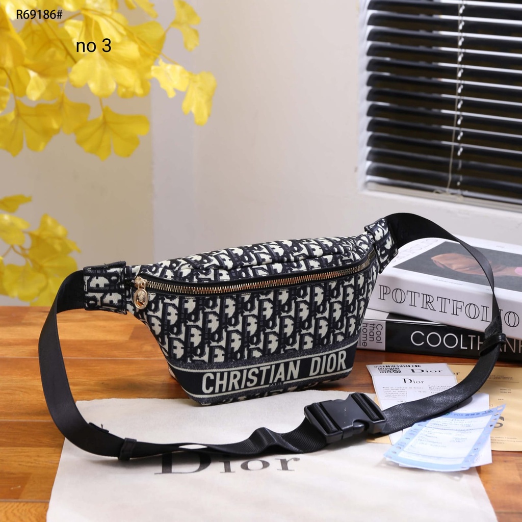 CD Canvas GHW Waist Bag R69186#