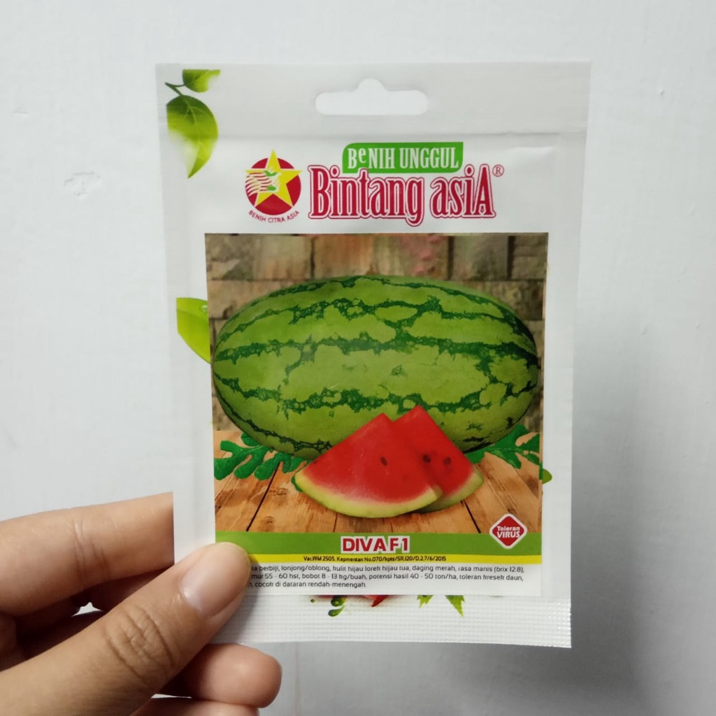 Benih Bibit Semangka Merah Berbiji Hibrida Diva F1 2 gr Biji Unggul