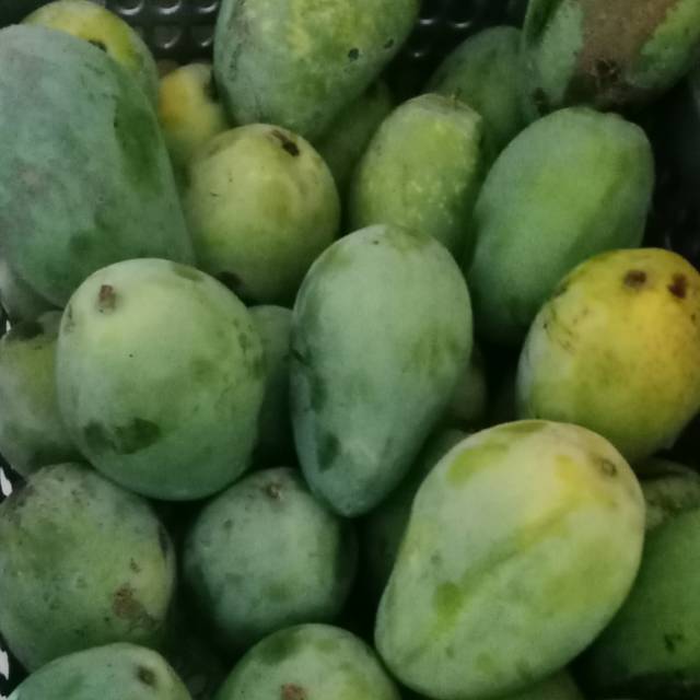 

mangga