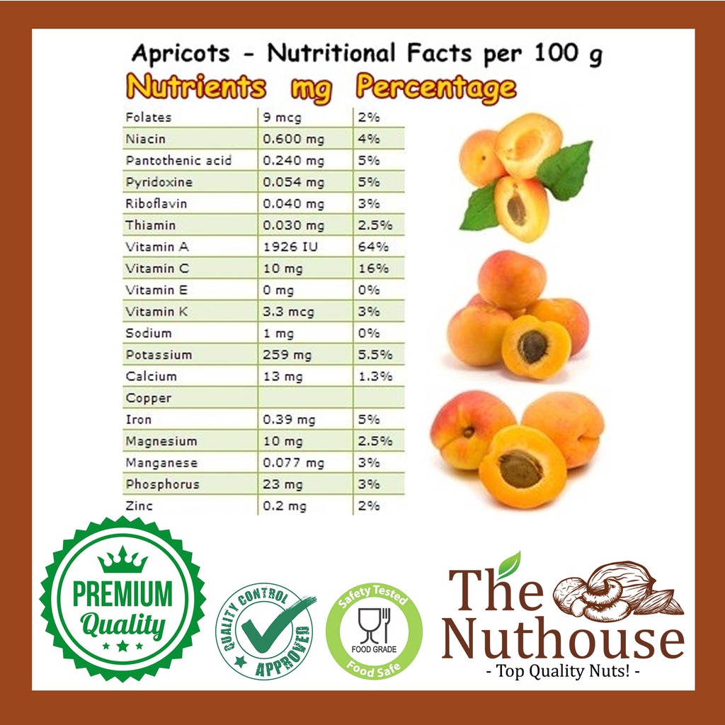 100gr Dried Apricot / Buah Aprikot Kering [Organic Premium Fruits]