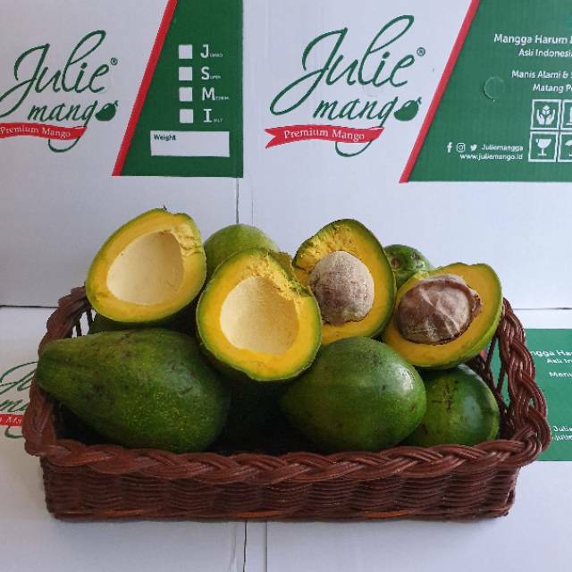 

Alpukat Mentega Julie Mango Berat 4.3 - 4.6 Kg Ukuran Super Isi 12 pcs
