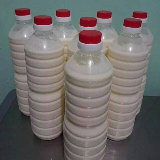 

Susu kefir 1 liter