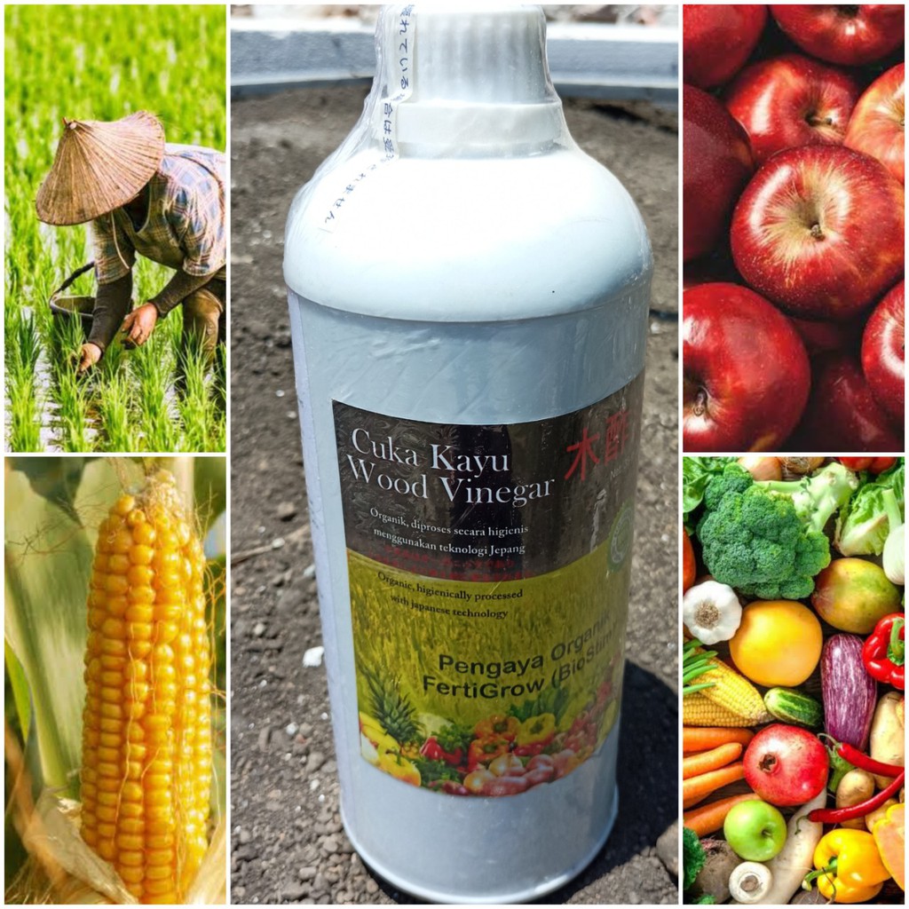 Bioferti Cuka Kayu Wood Vinegar Pupuk Organik 1 liter