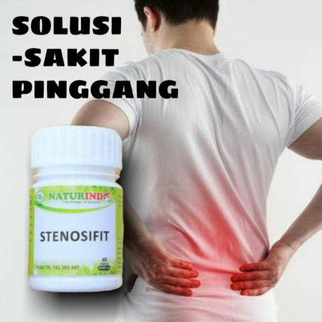 STENOSIFIT NATURINDO HERBAL SARAF PINGGANG