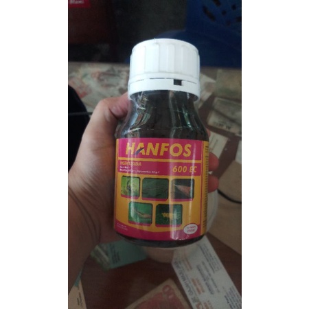 INSEKTISIDA HANFOS 600 EC - 200 ML
