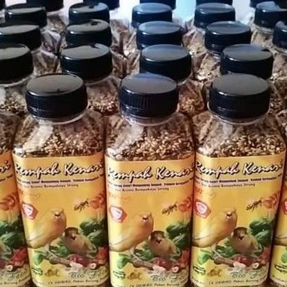 Rempah Kenari Pakan Kenari Pakan Burung Kenari