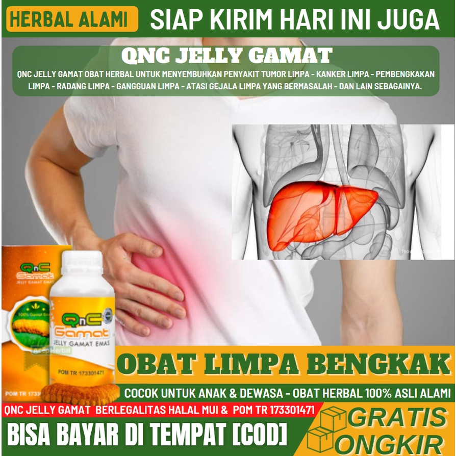 Obat Herbal Penyakit Limpa 100% ASLI, Obat Pembengkakan Limpa, Limpa Bengkak, Limpa Membesar, Obat P