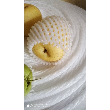 

foam net buah 20 mtr spon busa Buah bungkus buah