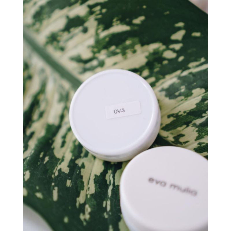 Cream Malam OV3 / krim malam Eva Mulia