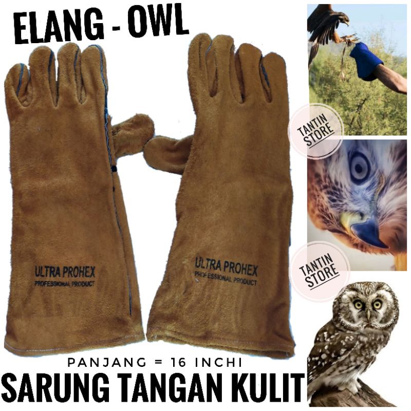 Sarung Tangan Kulit Glove Tebal Burung Elang Owl Falconry BOP