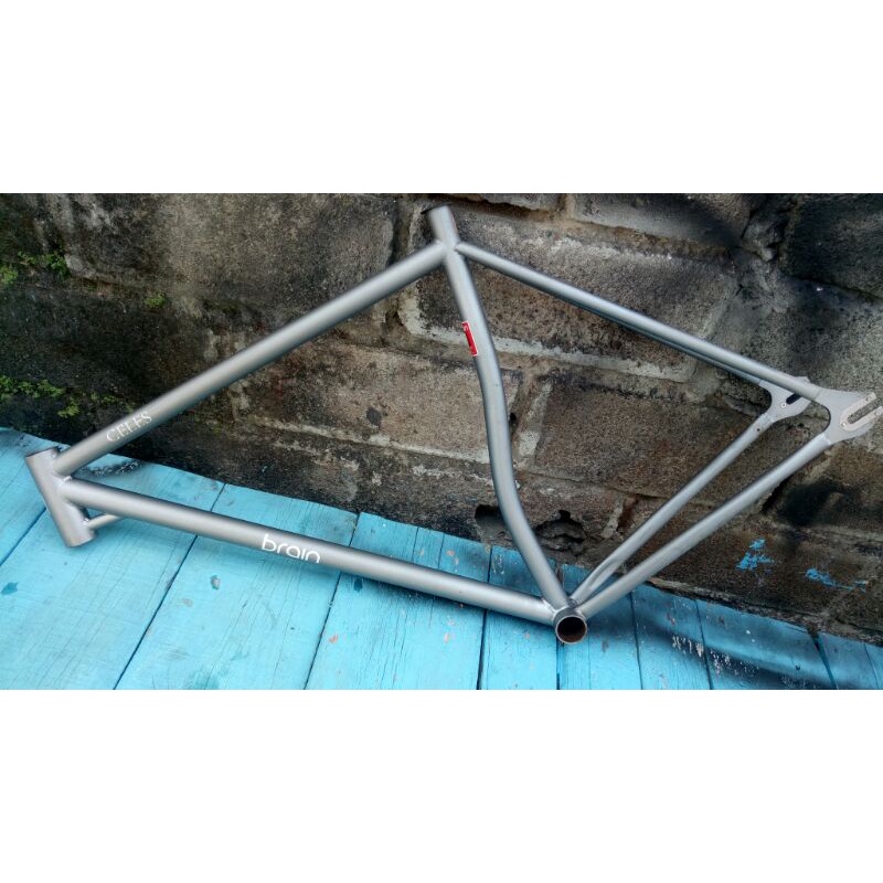 frame fixi brain celes