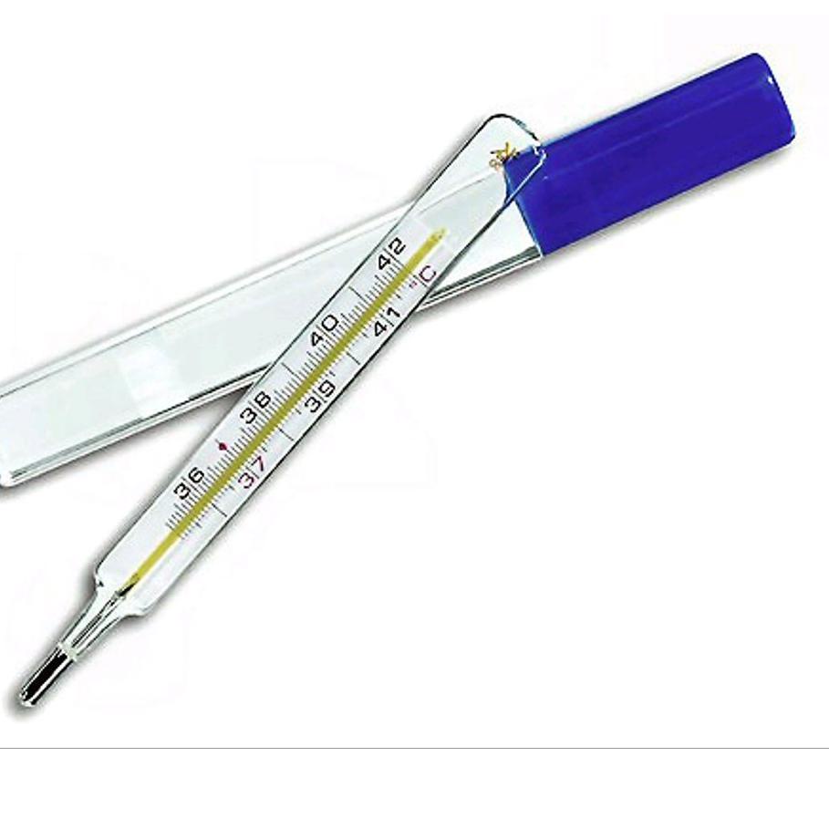 MMN TERMOMETER THERMOMETER AIR RAKSA CEK SUHU BADAN PANAS DEMAM ANAK BAYI DEWASA BIASA LAMA REI TERM