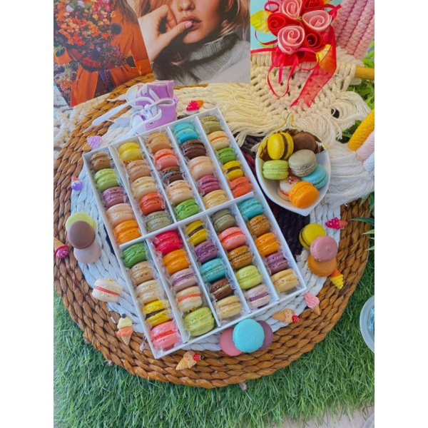 

MACARON [BABY MACARON]