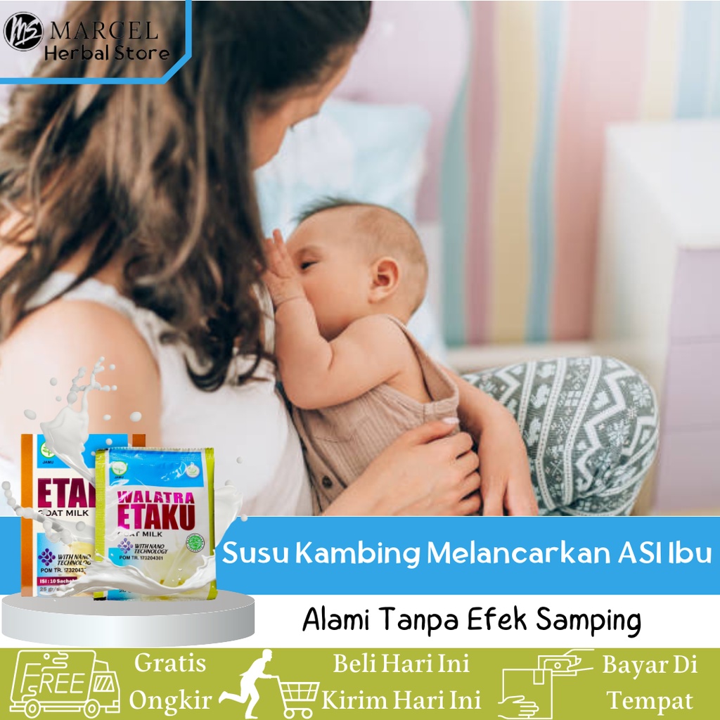 

Walatra Etaku Susu Kambing Berkhasiat Melancarkan ASI Ibu, Menambah ASI Secara Alami Tanpa Efek Samping