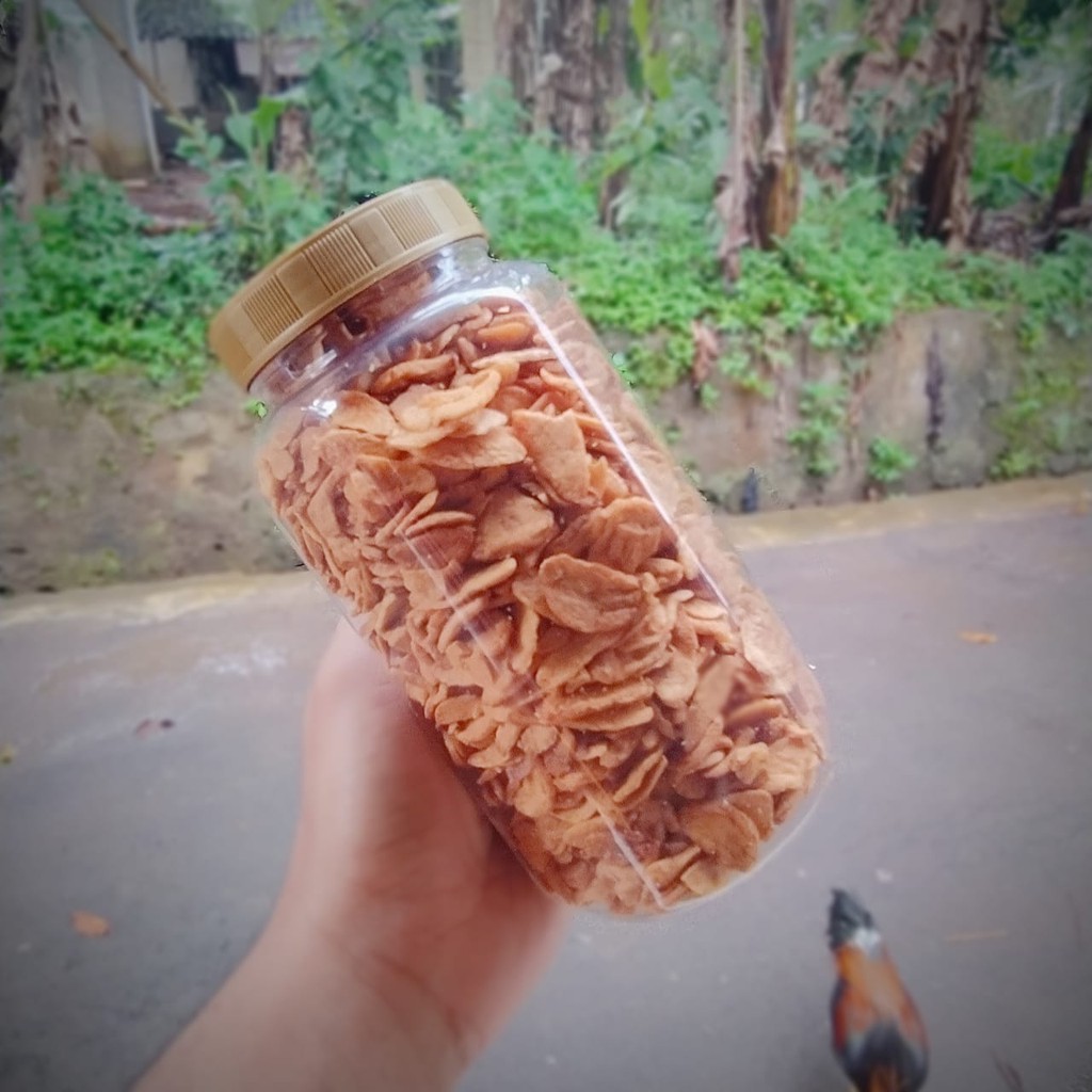 

Bawang Putih Goreng Oven Toples Asli 250 gr Tanpa Tepung Kualitas Premium COD Termurah Terlaris