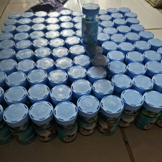 Bsh pelangsing badan original