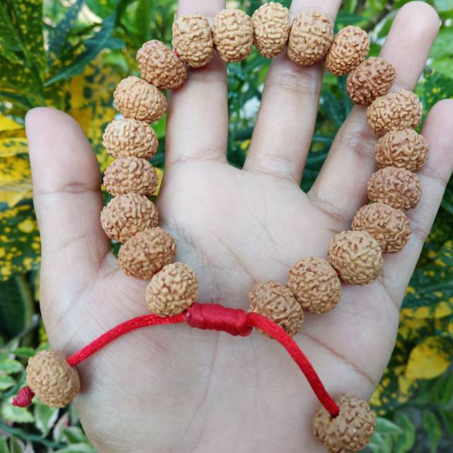 Gelang jenitri genitri mukhi 7 original rudraksha