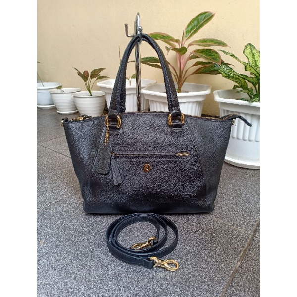 papillon preloved papilon second papillon bekas papilon pl