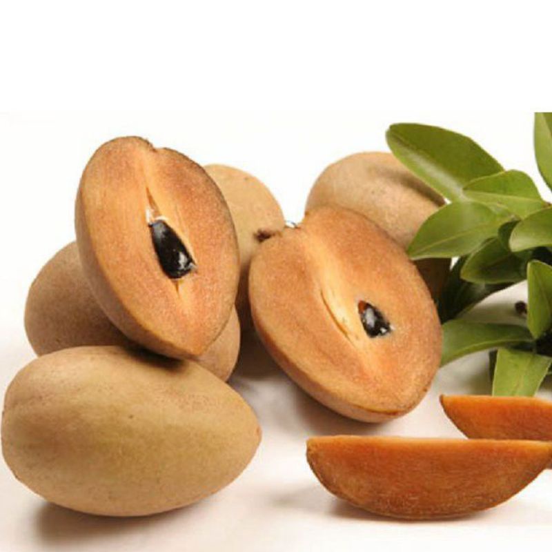 

Buah sawo muda 850gr