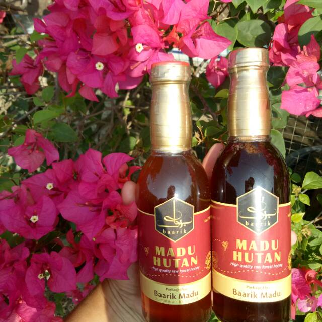 

MADU HUTAN BAARIK