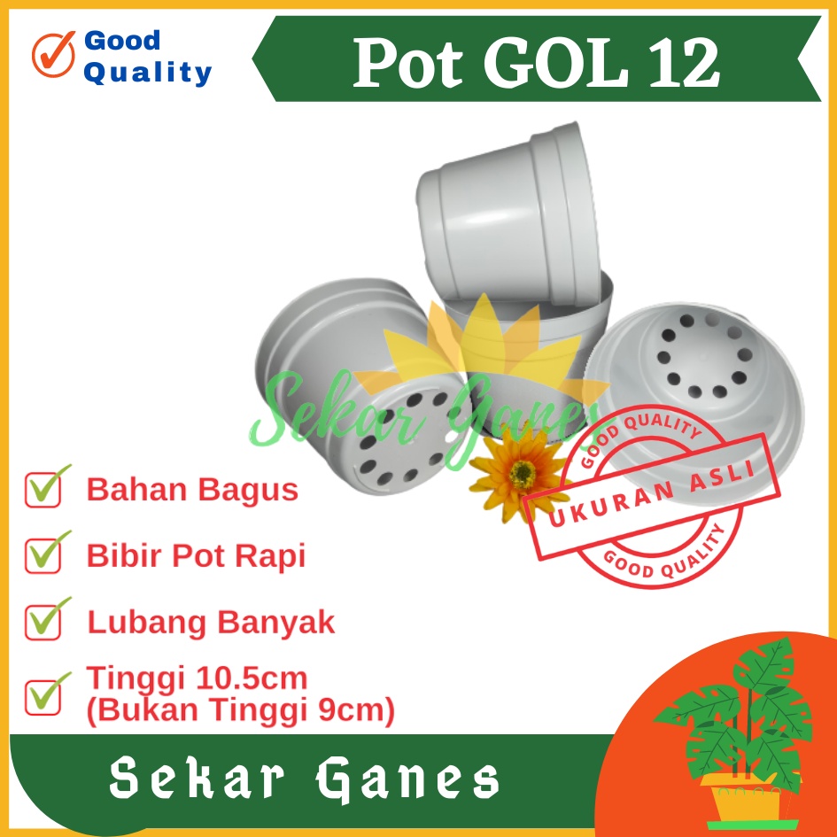 Sekarganes Pot 12 Putih Polos - Pot 12 Cm Putih Kecil Mini Minimalis Plastik Kaktus Sukulen Mini Murah Pot Bibit Pembibitan