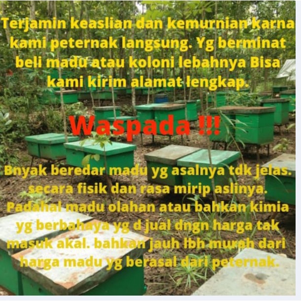 

Nafariz724 Sample Madu Murni Asli 100Gr - Variant Nektar 100% - Madu Mentah - Madu Originalt