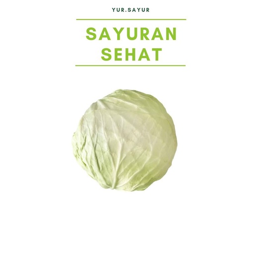 

KOL KUBIS PUTIH SEGAR