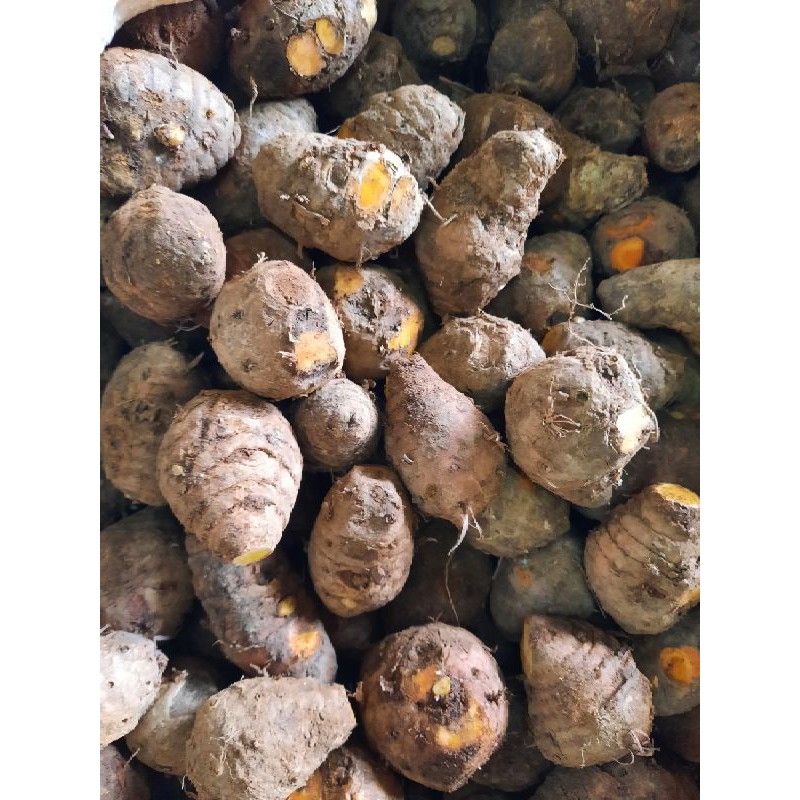 

Temulawak 500g