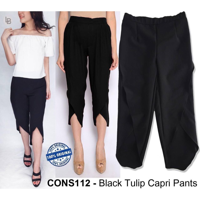 H220 Consenso Black Tulip