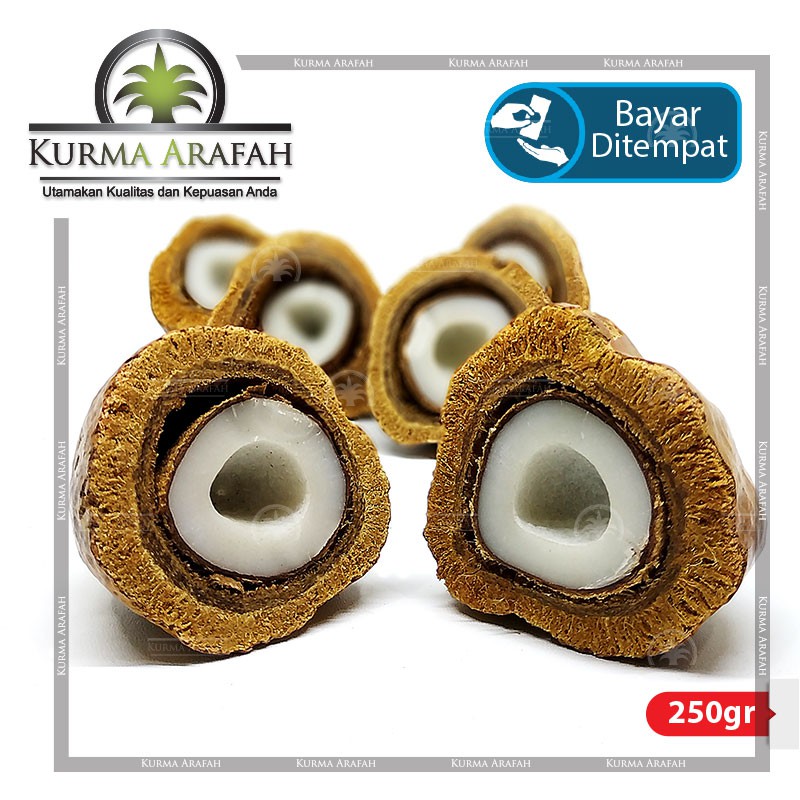 Buah Zuriat Belah, Doum, Yuriat, Buah Adam Hawa, Zuriat Nabi 250gr ORIGINAL ( Sudah Dibelah )