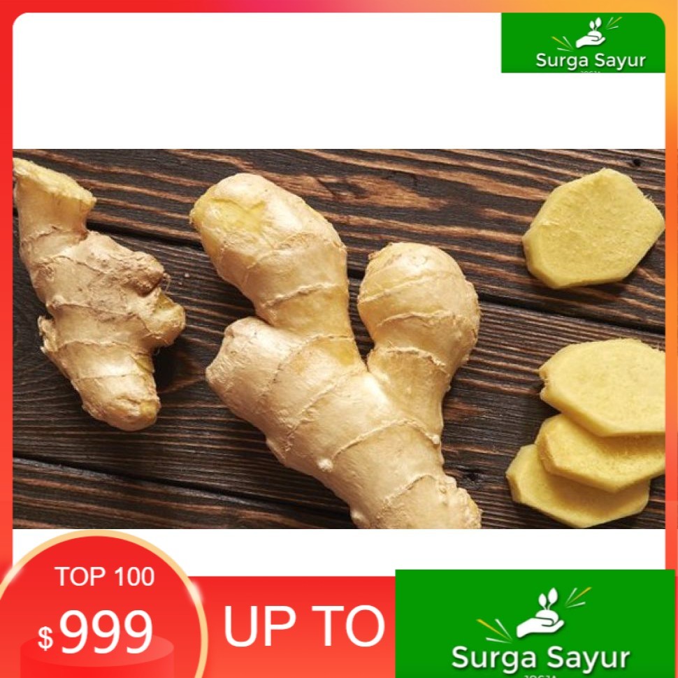 

SURGA SAYUR SEGAR Jahe 100 Gram