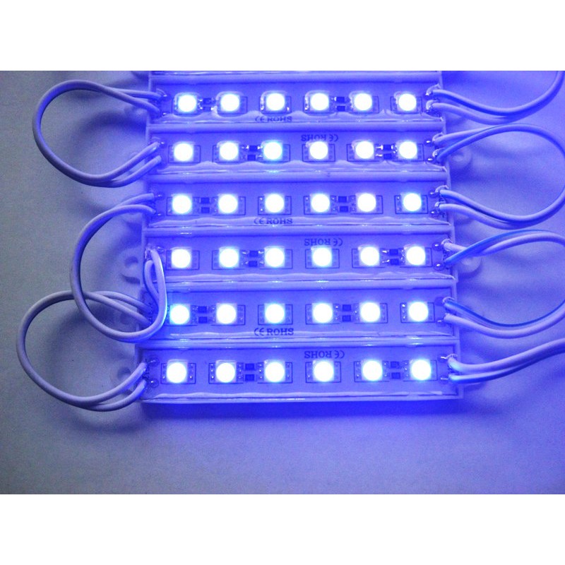 Led Module 6 Mata SMD DC 12 V Waterproof Biru