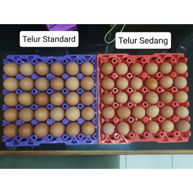 Telur sedang ukuran 17 sampai 18 butir perkg