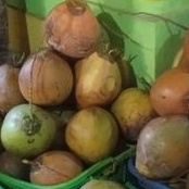 

Kopyor Isi Super Tebal Bergaransi