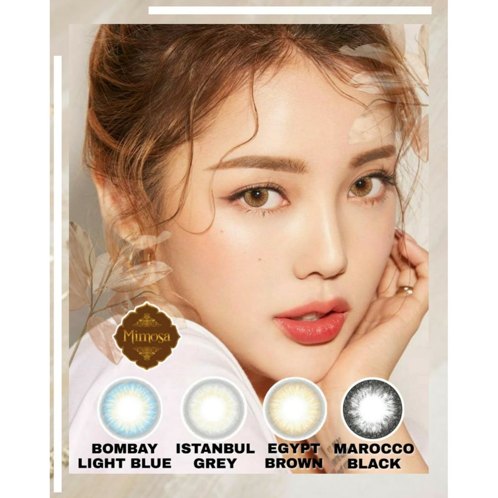 Softlens MIMOSA FLAT DIA 14.50mm MINUS Brown Grey Black Brown ( -3.25 s/d -6.50 ) / Softlense/Lensa  Kontak/BS