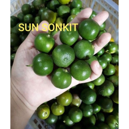 

Termurah JERUk SONKIT MURAH 1KG / JERUK KUNCI / JERUK KIETNA / JERUK KALAMANSI / LEMON CUI COD