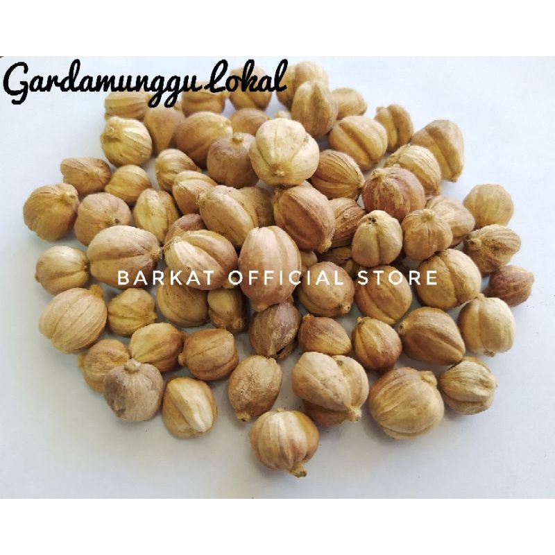 

Gardamunggu Lokal / Kapulaga Jawa / Kapulaga Lokal / True Cardamom / Rempah / JSR 100% Premium